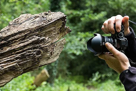 5 game-changing photography trends (Wikimedia Commons)