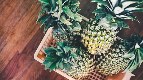 Business is booming for fruit store owners, with sales of pineapples rising by 10 to 15 per cent in August from the month before, The Straits Times reported. (Unsplash)