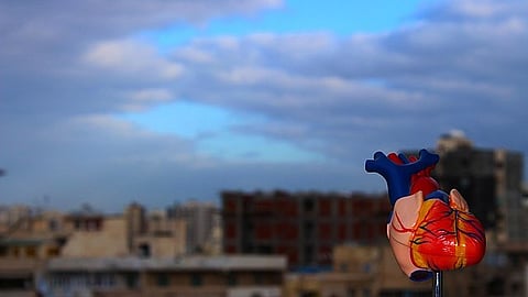 TBI is a leading cause of long-term disability and premature death, especially among military personnel and those playing contact sports. (Wikimedia Commons)