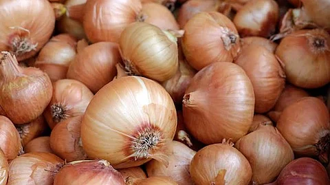 Onion wholesellers in Nashik go on indefinite strike to protest export duty hike