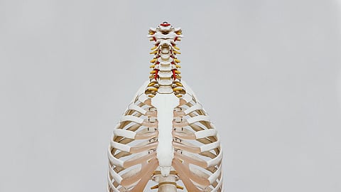 World Spinal Cord Injury Day is observed on September 5 annually to raise awareness on spine injuries. (Unsplash)