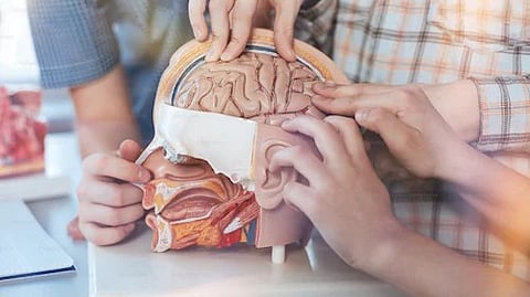 Pseudodementia is used to describe the condition in which depression causes cognitive deficits that masquerade as dementia, Patients will often present with difficulties in memory and concentration and deny depressive symptoms.(Unsplash)