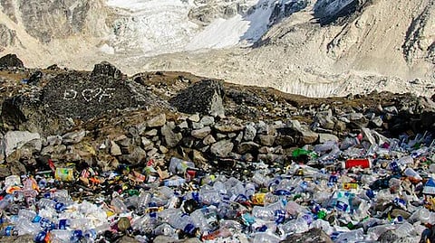 BPA, used in everyday objects such as in medical devices, compact discs, dental sealants, water bottles, the lining of canned foods and drinks, among others, has previously been linked to several health issues, including cancer. (Unsplash)