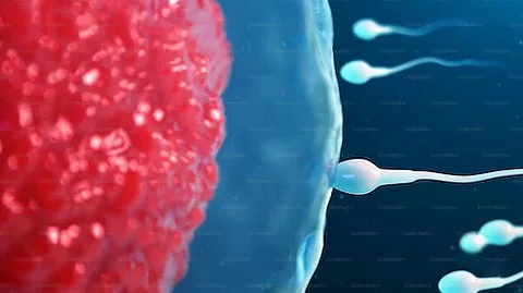 Millions of couples worldwide experience infertility with half of the cases originating in men. (Unsplash)