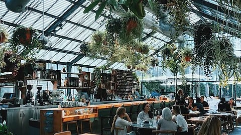 While planning to host a cricket-themed party at your place you can choose to go all out and decorate the space as you like with posters and cutouts of cricketers, and stumps, and even add in a few bats and balls lying around. (Unsplash)