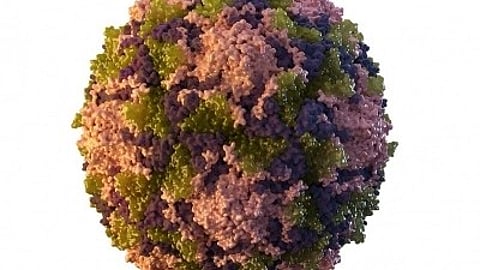 Polio virus has been detected in an environmental sample in Karachi.(IANS)