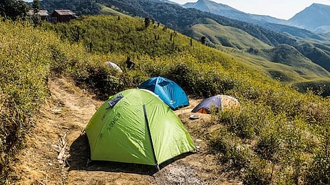 Chief Minister N. Biren Singh often said that illegal immigrants and drug peddlers including Myanmar nationals are involved in mass poppy farming and forest destruction in Manipur. (Unsplash)