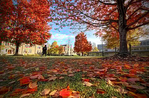 Fall foliage on the Danforth Campus of Washington University in St. Louis. Newswise