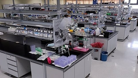 Various types of biocatalysts – also termed enzymes – release C skeletons from starch when they are needed as building blocks or as energy source.