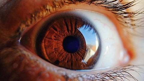 A close-up macro shot of a brown eye with detailed iris patterns and a clear reflection on the surface.”