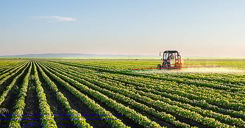 Tractor working in a large green crop field under clear sky