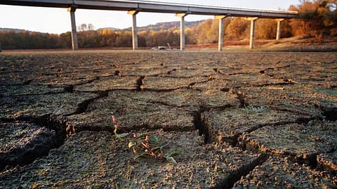 Dry cracked ground with a bridge in the background.