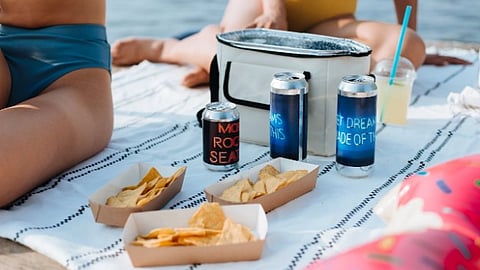 Picnic setup with canned drinks, fries, and chips on a striped blanket