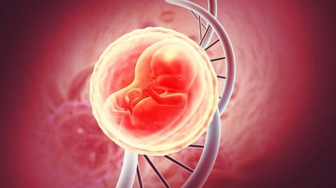 A developing embryo surrounded by DNA strands.