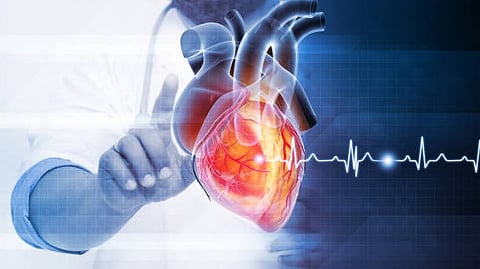 Doctor holding a glowing digital heart with ECG line.