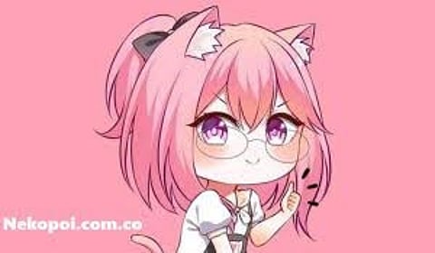 Cute anime girl with pink hair, cat ears, and glasses on a pink background.