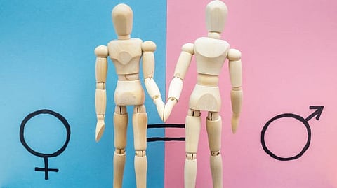 Two wooden mannequins lying on pink and blue backgrounds representing male and female gender symbols.