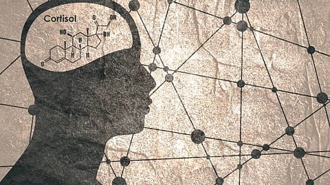 Silhouette of a head with a cortisol molecule diagram, symbolizing stress and brain chemistry.