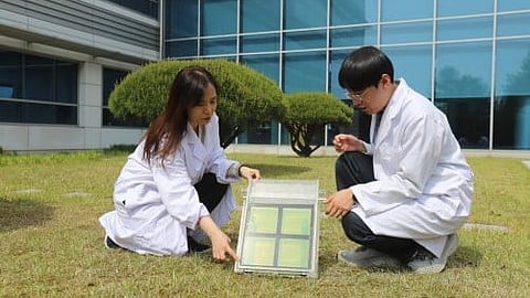 Two researchers in lab coats examining samples outdoors on grass.
