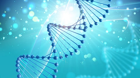 Extracting and sequencing ancient DNA found in the salting factory of the Roman village