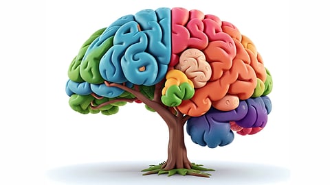 The researchers said the insight has potentially profound implications for the treatment of brain disorders.