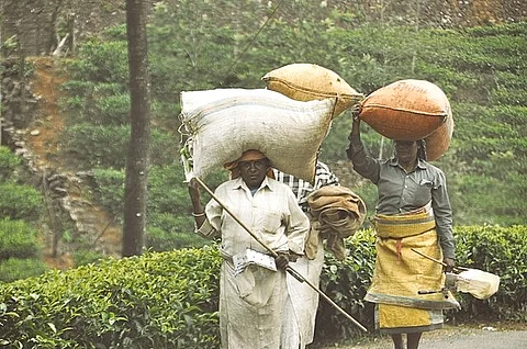 Kerala experienced an unprecedented heatwave this year, with temperatures rising.