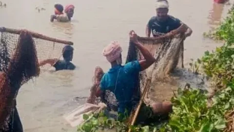 Fishes from water bodies
