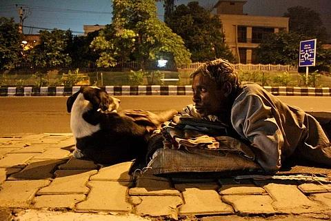 Image of stray dog with a man on a street