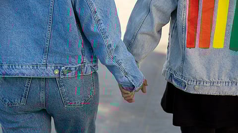 lgbtq couple holding hands.