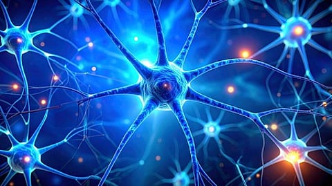 Graphical illustration of enlarged neuron network.