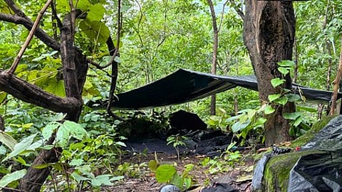 Chhattisgarh jungle