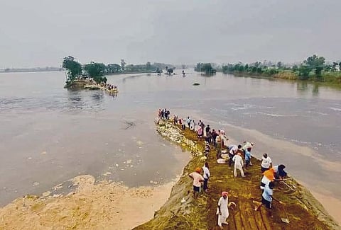 Punjab Floods