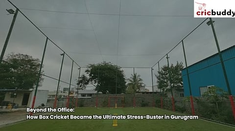 box cricket turf