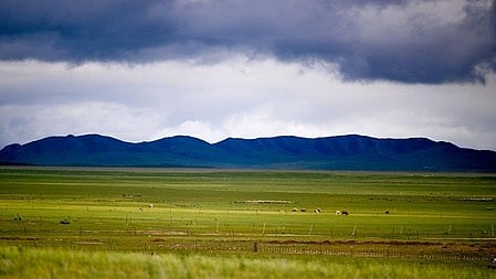 Two more bubonic plague cases reported in Mongolia's Khuvsgul