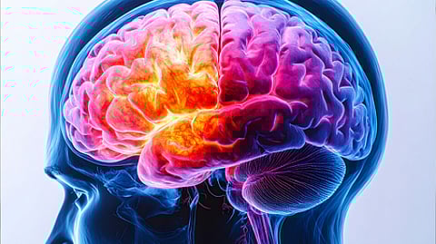 Initial cerebrospinal fluid (CSF) wet mount tests showed no trophozoites, but samples sent for PCR analysis in Coimbatore confirmed acanthamoeba infection.