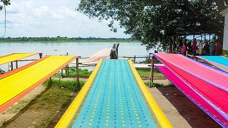 Nadia: Freshly woven handloom sarees are spread out under the sun to dry by the riverside in Shantipur, Nadia, Friday, August 29, 2025.