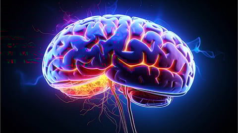 Graphical image of brain