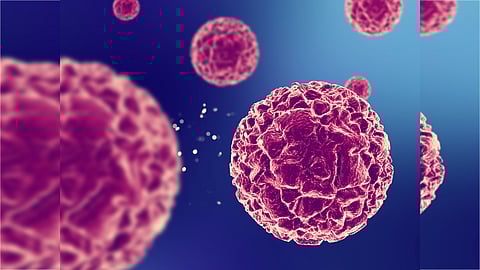 Cancell cells graphical image