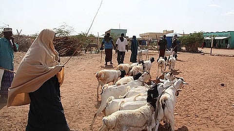 As violence against women becomes increasingly common, consent is being trampled. The notion of “conjugal duty” still frequently outweighs a woman’s right to make decisions about her body.