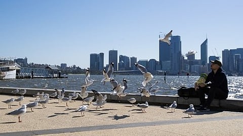 Climate change linked to nearly 100,000 heatwave deaths in 2023: Study