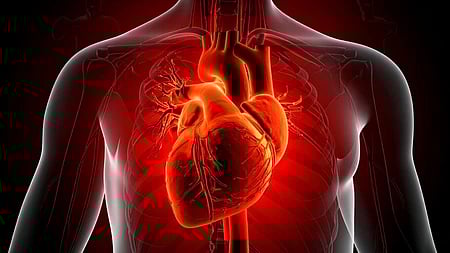 Illustration of a glowing red human heart, prominently displayed within a semi-transparent chest, set against a dark background, conveys vitality and energy.