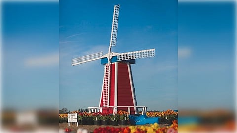 Red windmill with white sails stands amid vibrant tulip fields under a clear blue sky, evoking a serene and picturesque spring scene.