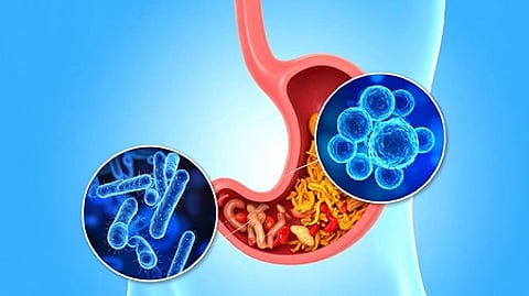 Illustration of a human stomach with diverse bacteria inside. Two circular insets show detailed blue bacteria. Background is a blue gradient, conveying a scientific theme.