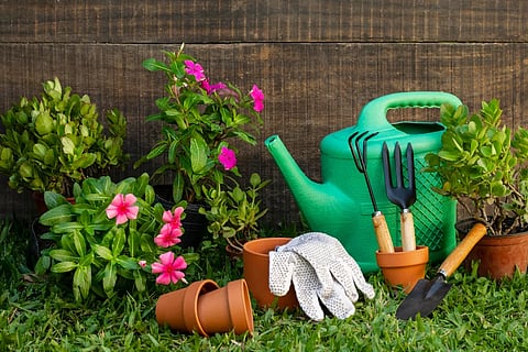 Plants, pots, a watering can, gloves, and trowels in a garden in front of a wood wall.