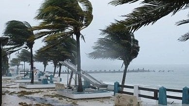 The devastation caused by Hurricane Melissa as the wind blows at full speed blowing the trees, and everything is scattered