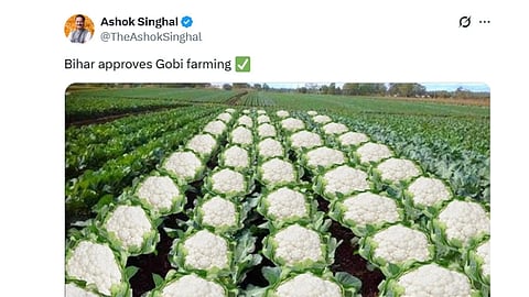 A tweet by Ashok Singhal shows a lush green farm with rows of cauliflowers. Text: "Bihar approves Gobi farming" with a green checkmark emoji.