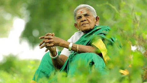 The 114-year-old Saalumarada Thimmakka draped in a green saree, seated amidst the lush trees she nurtured.