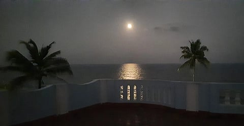 A serene view of a moonlit ocean, with the full moon reflecting on the water. Silhouetted palm trees frame the scene, creating a tranquil atmosphere.