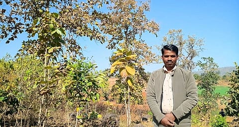 A man in jacket stands in front of sal trees in a field.