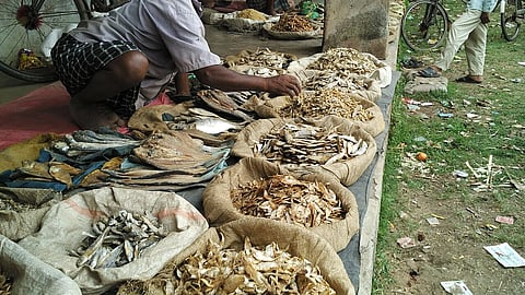 Dried fish at a local market in Kendrapara district, Odisha.